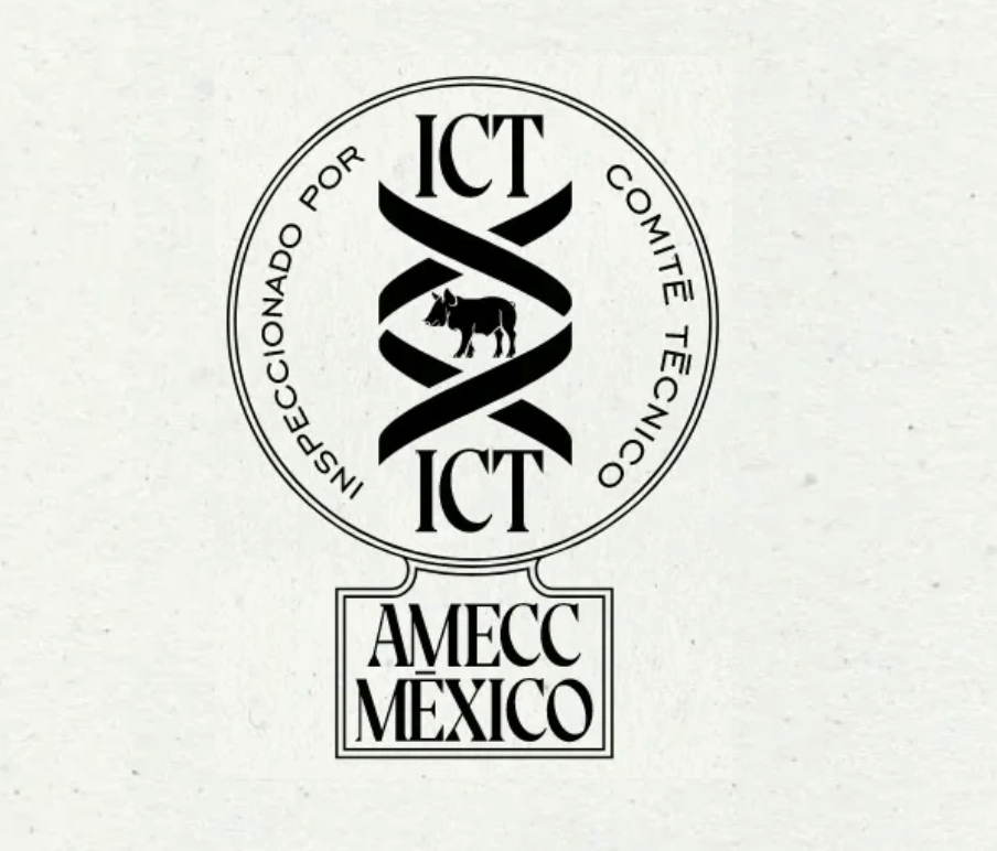 Certificación de producto